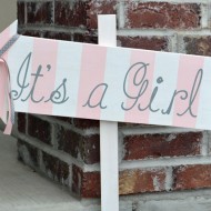 It’s A Girl Baby Shower