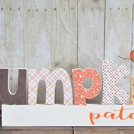 Pumpkin Patch Letter Set