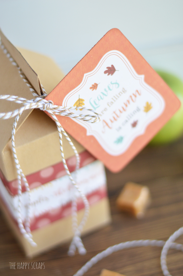 Putting together this Caramel Apple Autumn Gift is quick and easy and it's the perfect thing to give a friend or neighbor for any occasion. 