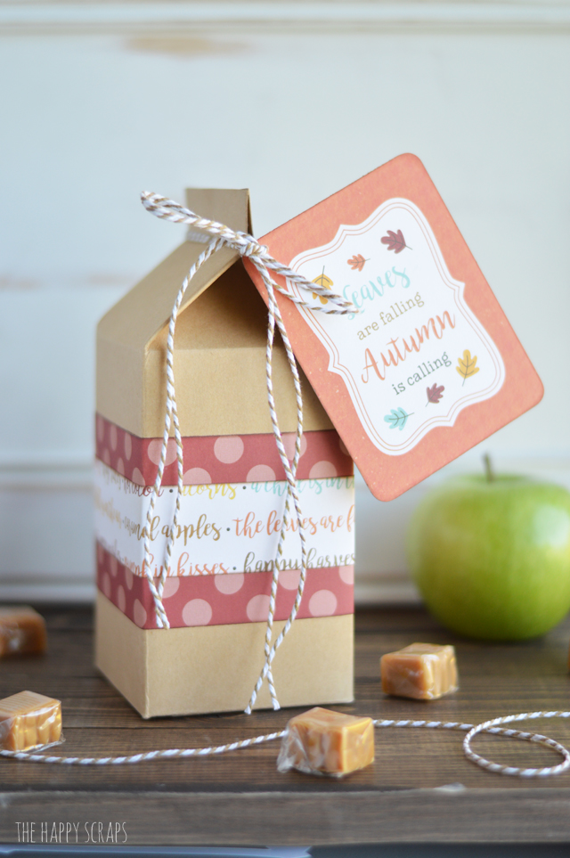 Putting together this Caramel Apple Autumn Gift is quick and easy and it's the perfect thing to give a friend or neighbor for any occasion. 