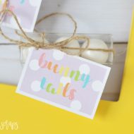 Bunny Tails Easter Favor