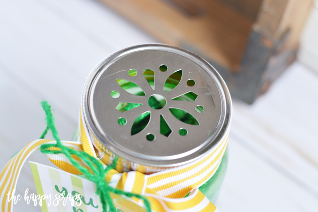 This St. Patrick's Day Treat Jar is a quick + easy project that the recipient will love! Get the printable tag on the blog. 